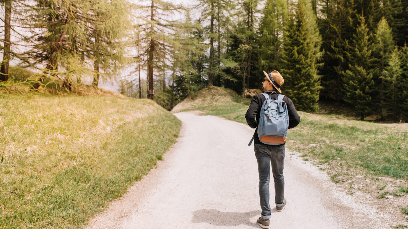 The Healing Power of Nature Walks